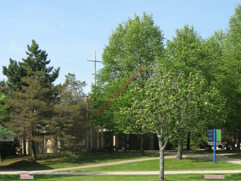 NB0526b 768x577