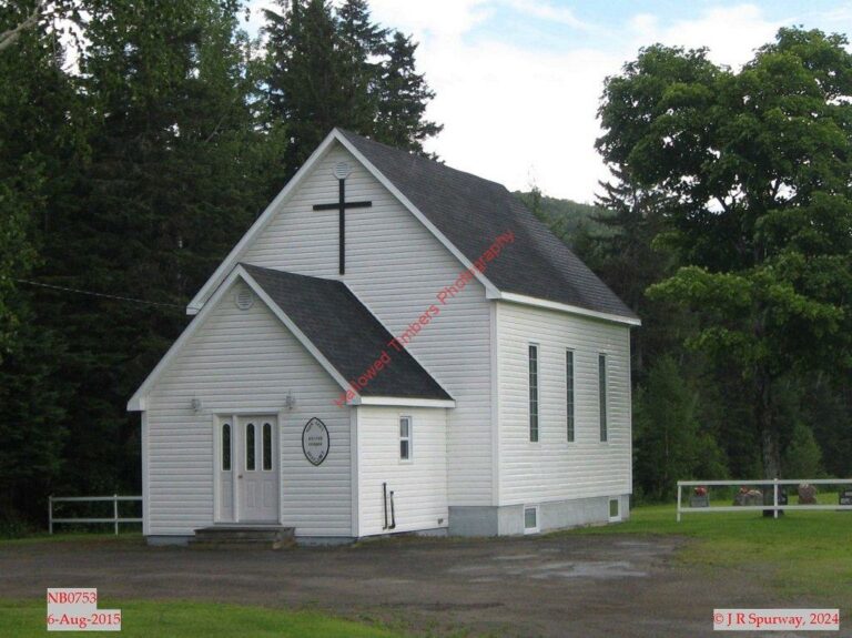 NB-Glen Levit - UCC - NB0753