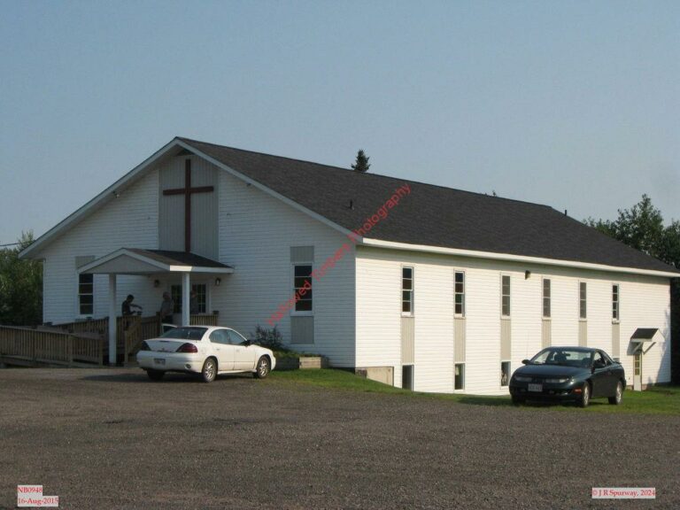 NB-Tracy - PENA - NB0948