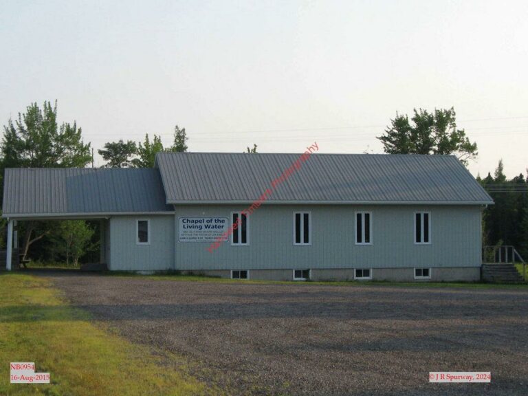 NB-Rusagonis - xOTH - NB0954 NB-Rusagonis - xOTH - NB0954