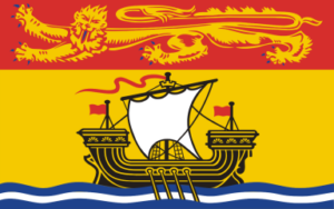 NB flag