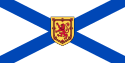 flag-ns